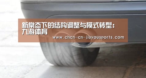 新常态下的结构调整与模式转型:九游体育(图2) 九游体育