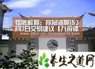 猎鹰解期:棕榈油期货3月3日交易建议【九游体育】(图3) 九游体育