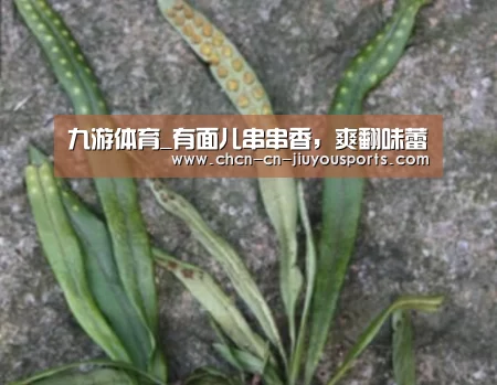 九游体育