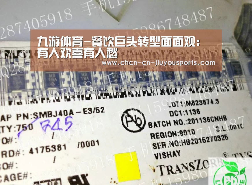 九游体育-餐饮巨头转型面面观:有人欢喜有人愁(图1) 九游体育