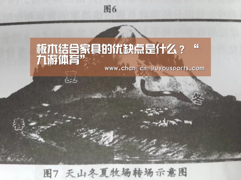 板木结合家具的优缺点是什么?“九游体育”(图2) 九游体育