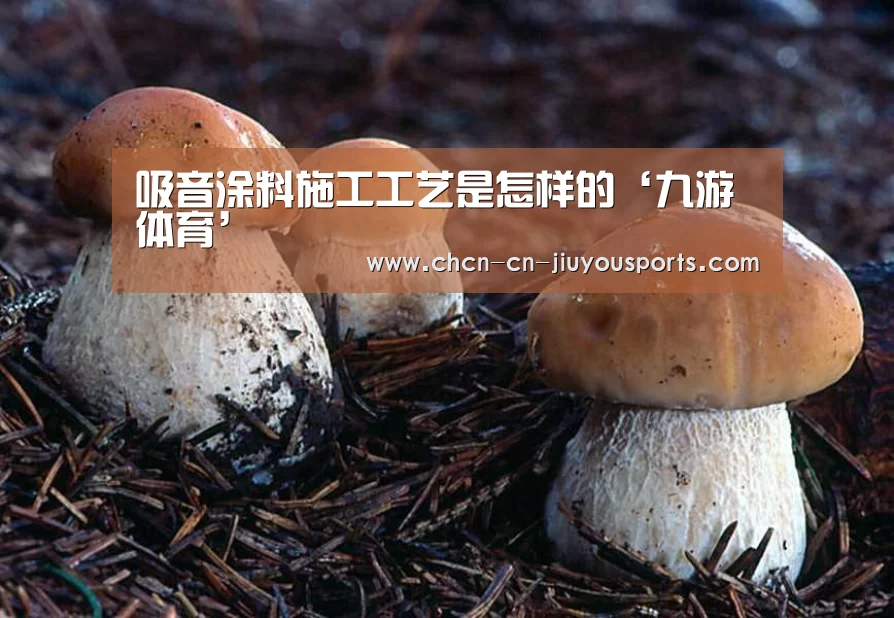 吸音涂料施工工艺是怎样的‘九游体育’(图4) 九游体育