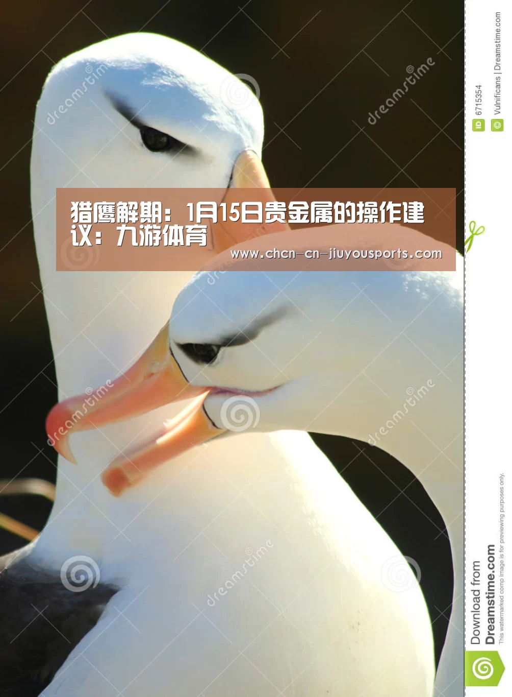 猎鹰解期:1月15日贵金属的操作建议:九游体育(图2) 九游体育